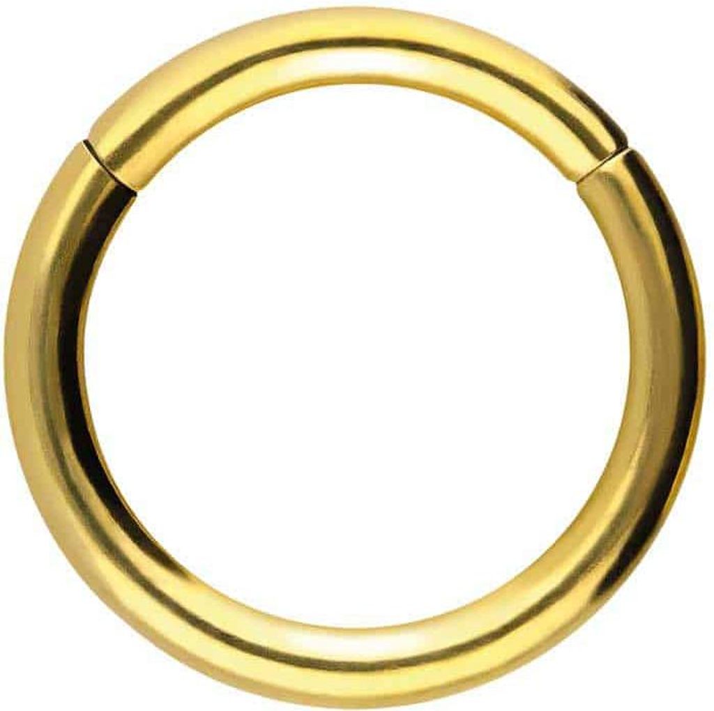 Ohrpiercing, Nasenpiercing, Septum Piercing Titan Segmentring Clicker Gold Innendurchmesser: 12mm + Stabstärke: 2mm
