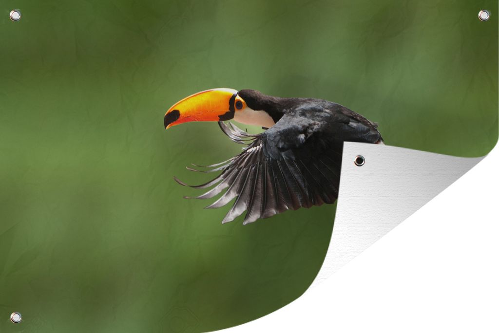 MuchoWow 60x40 cm Outdoor-Poster Gartendeko Sichtschutz Garten Poster für den Garten Ein Tukan fliegt vor einem grünen Hintergrund