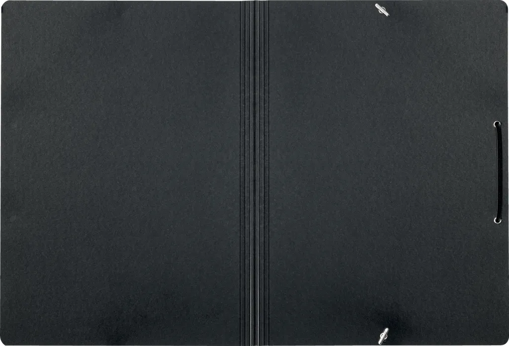 Dossier d'angle recyclé Leitz 39080095 noir grainé haute résistance