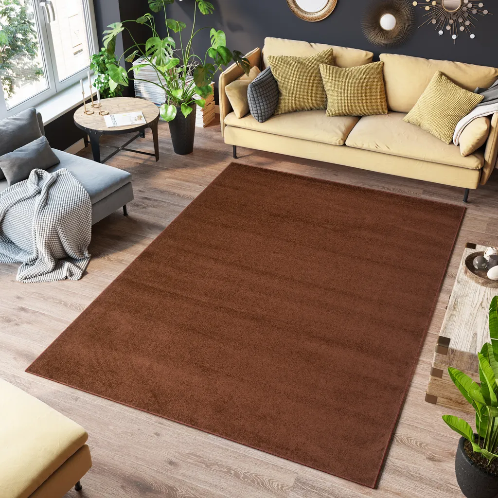 Tapis anti-poussière marron 140x190 cm, poils courts pour salon sain