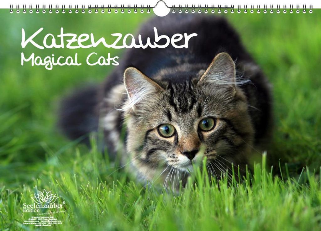 Katzenzauber DIN A3 Immerwährender Kalender Katzen und Katzenbabys - Seelenzauber