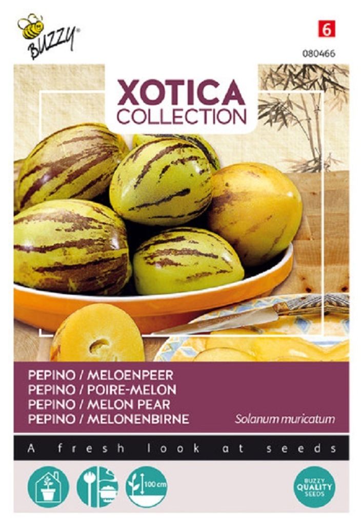 Buzzy Xotica Pepino melón hruška semená - cca 15 semien | Obrázok produktu 
