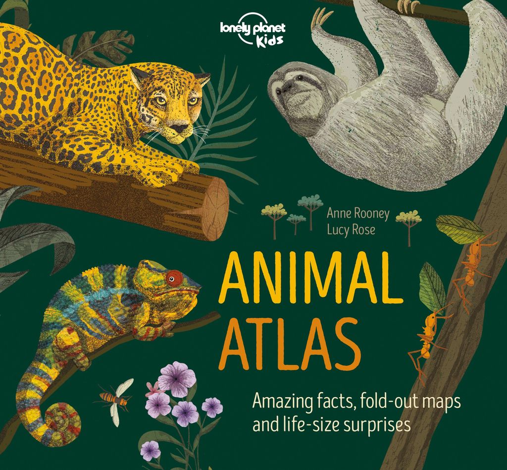 Animal Atlas – Lingua: Inglese