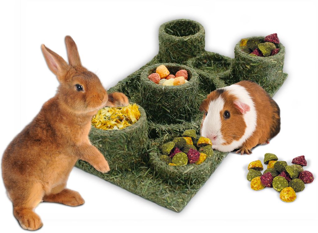 JR FARM Back to Instinct Fun-Park 275g Produktbild 