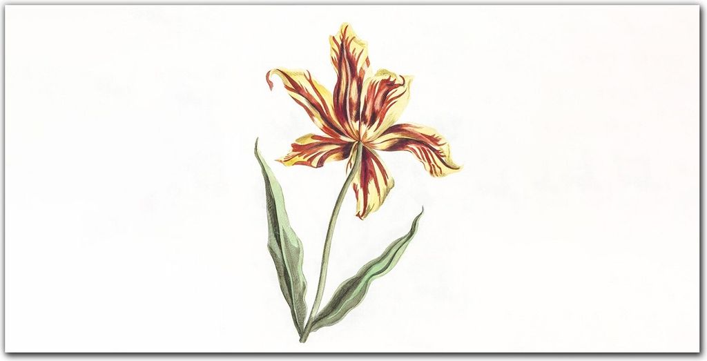 Coloray Bild aus Glas 140x70 Dekoration wohnzimmer wanddekoration gehärtetes Glas Küche glasblock mit bild - Blumen Pflanzen