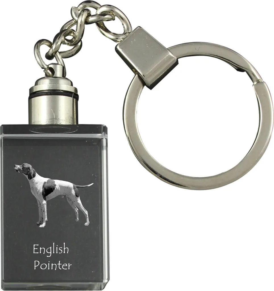 Portachiavi Cristallo Segugio Inglese con Foto Cane e Luce - Art-Dog