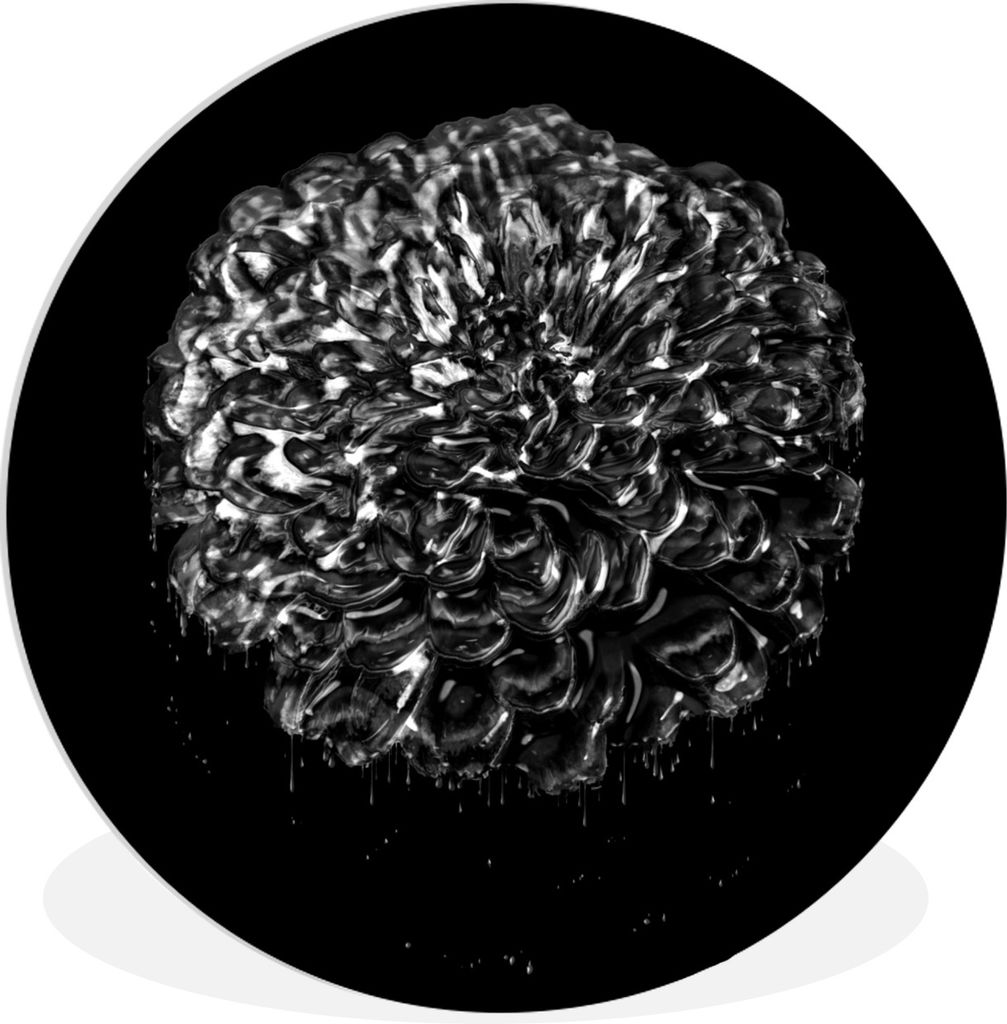 MuchoWow Rundes Wandbild - Runde Bilder Blumen - Blätter - Schwarz - Weiß Ø 30 cm Kreis Wanddekoration Kunststoff - Wandkreis - Wandschmuck - ...