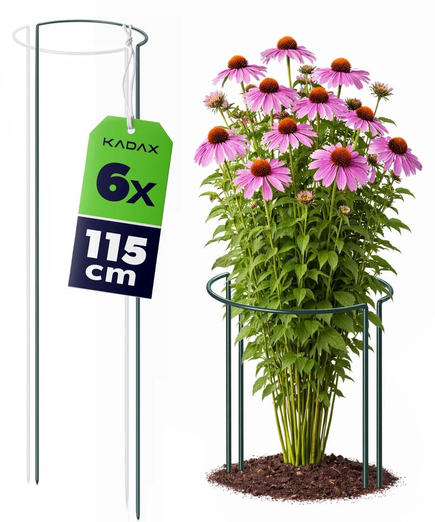 Pflanzenstütze - Halbrund - Höhe 115 cm - 6er-Set - Hellgrün