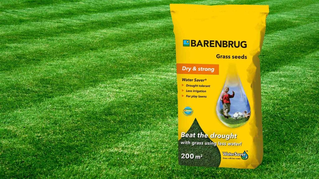 Barenbrug Gras Wassersparer 5kg fr trockene Gebiete