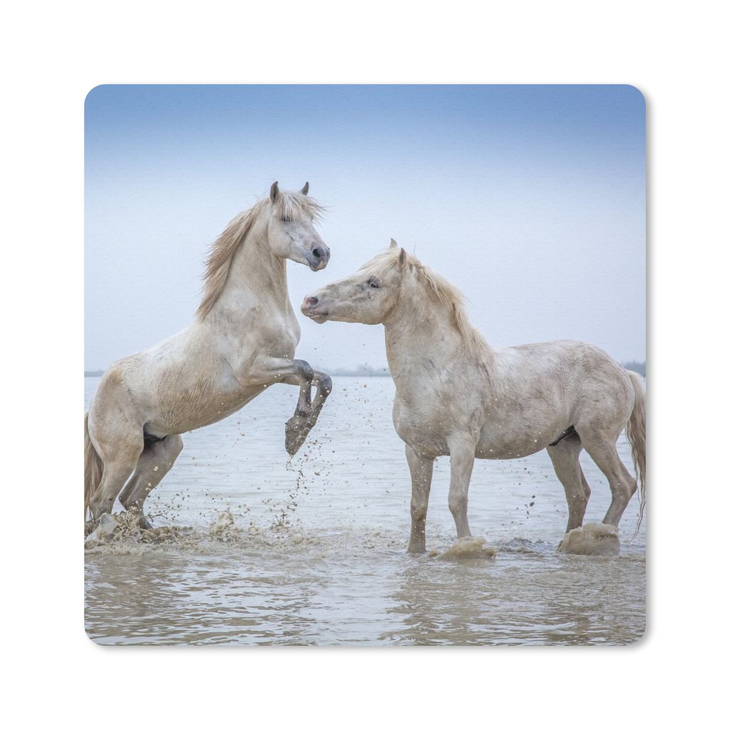 MuchoWow Mauspad Mousepad Zwei Pferde im Wasser in der Camargue 20x20 cm - Mousepads - Maus Mat - Pad - Mausunterlage - Desk Mat - Bureauartikeln