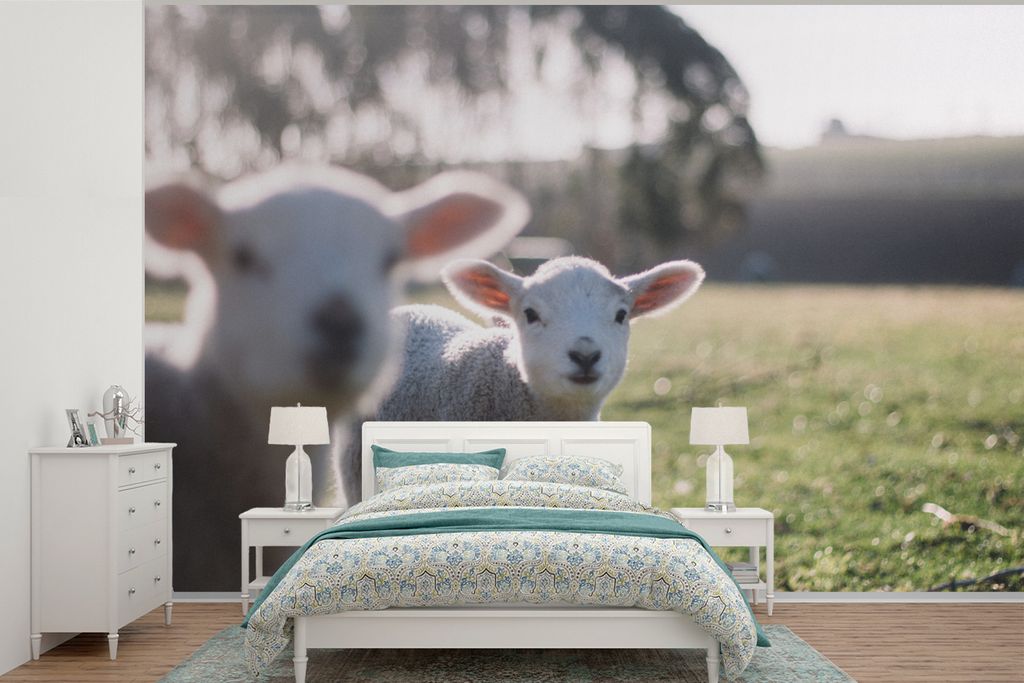 MuchoWow Fototapete für Wohnzimmer oder Schlafzimmer Wandtapete Vinyl Motivtapete Tiere - Schafe - Lamm - 600x400 cm - Vinyltapeten