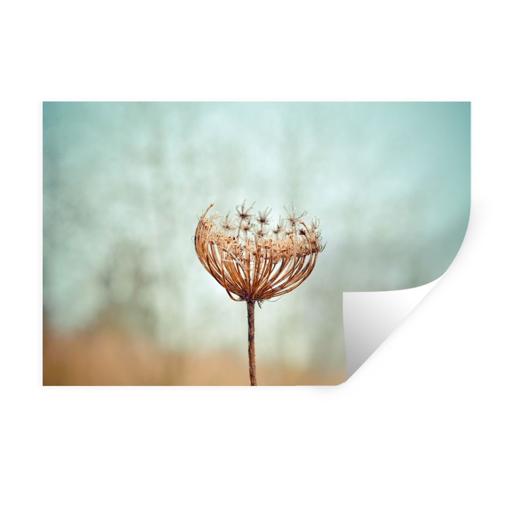MuchoWow Wandtattoo Wandsticker Wandaufkleber Vereinigtes Königreich - Löwenzahn - Saatgut 90x60 cm Selbstklebend und Repositionierbar - Aufkleber
