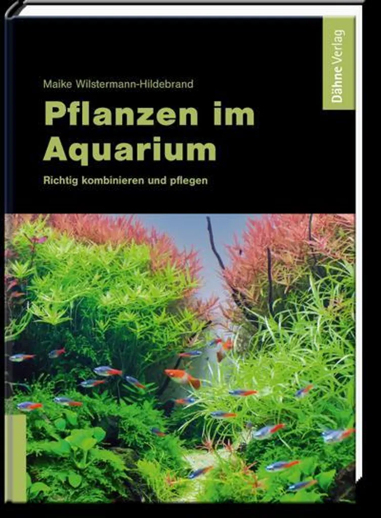 Plantes pour aquarium à croissance rapide pour limiter les algues