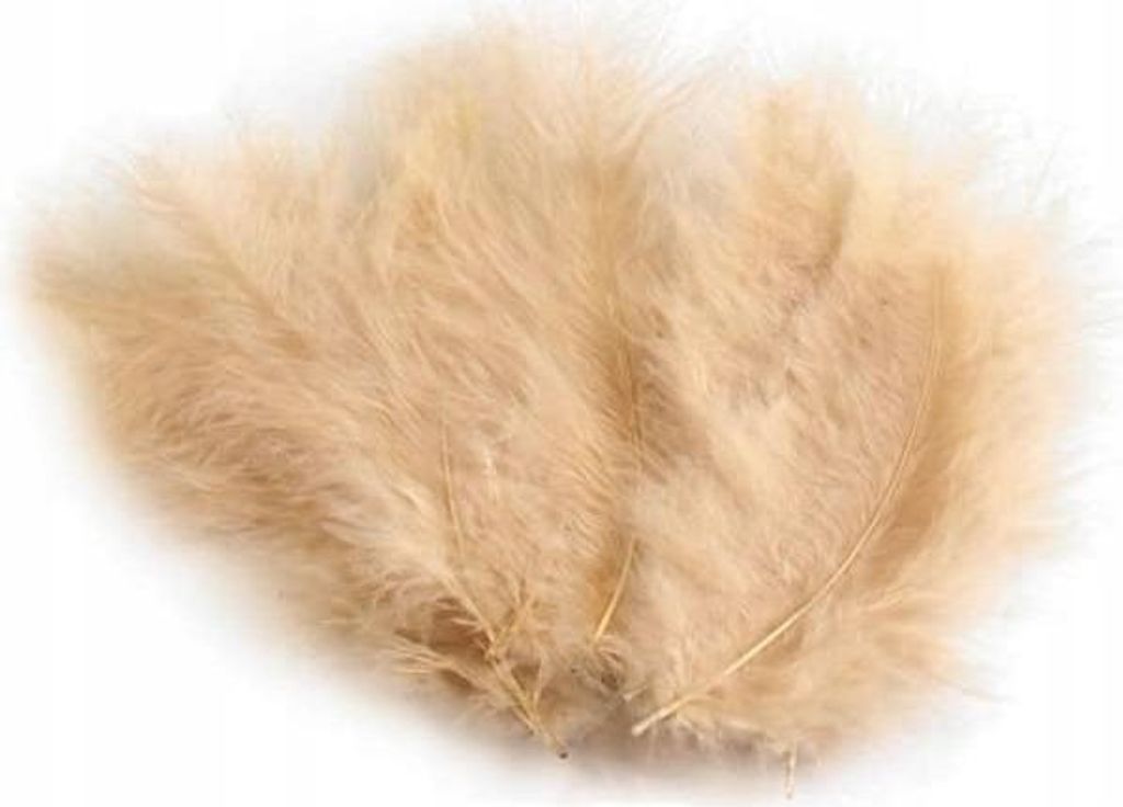 Beige Federn 10-12 cm, 50 Stück. Produktbild 