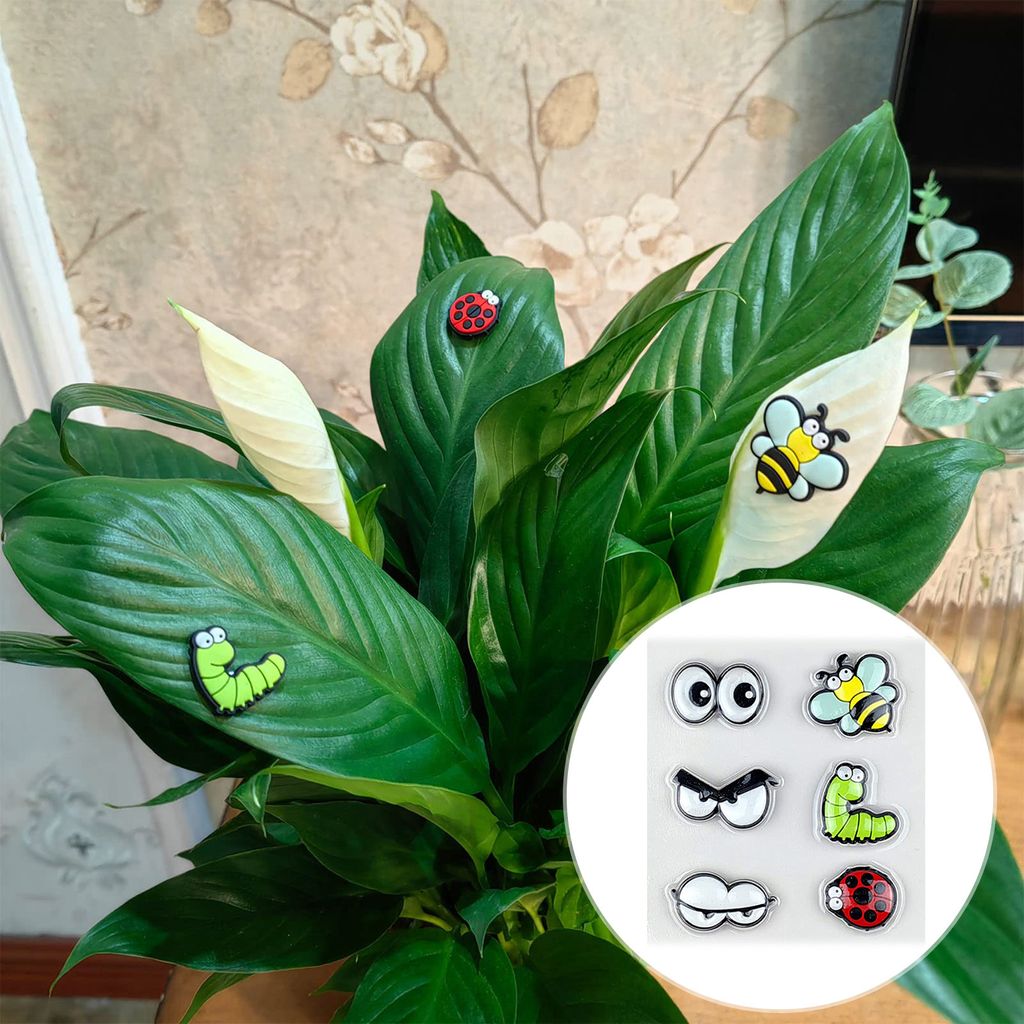 6pcs Monstera Pflanzenmagnete Augen Topfpflanzen Dekoration Lustige Pflanze Safe Magnete Stifte Charm House Pflanzenzubehör für Pflanzenliebhaber