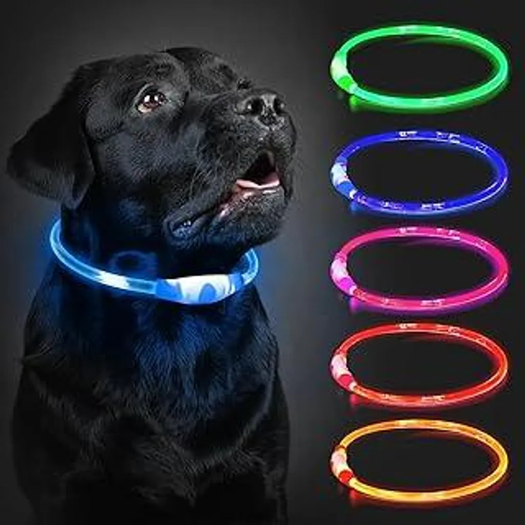 Collare LED per Cani Blu 70cm - USB Impermeabile 3 Modalità