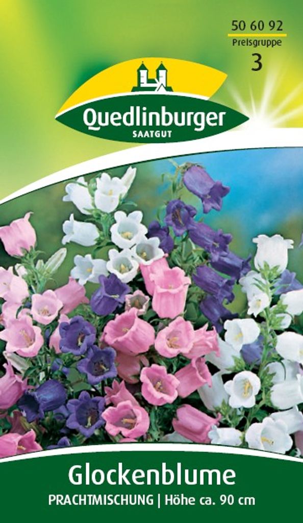 Quedlinburger Saatgut - Glockenblume Prachtmischung - Samen Produktbild 