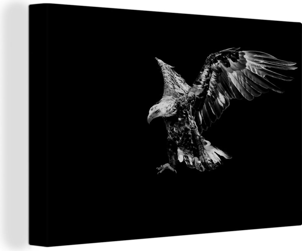 OneMillionCanvasses - Leinwandbilder - 150x100 cm, Eagle dark - schwarz und weiß, Wandbilder Kunstdruck Wanddekoration