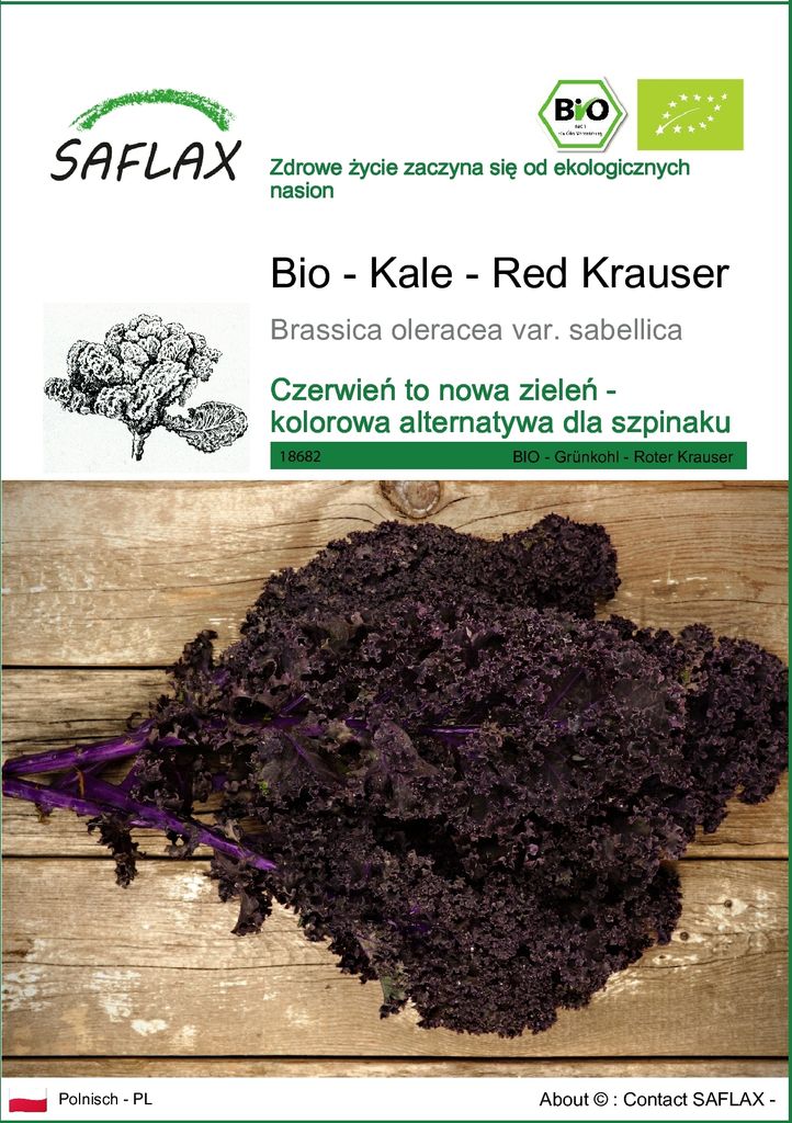 SAFLAX - Bio - Kale - Red Krauser - 50 Nasiona - Brassica Zdjęcie produktu 