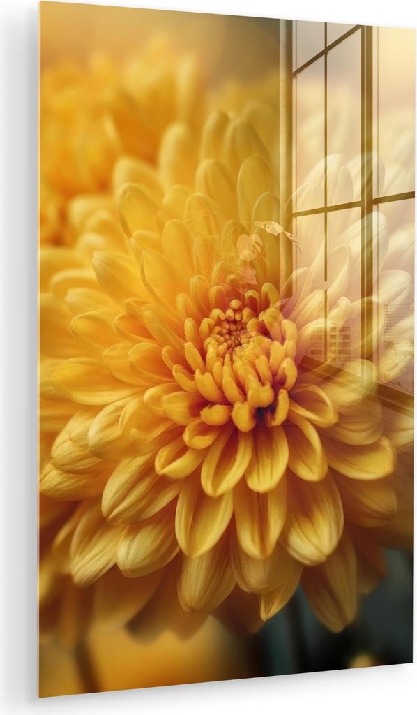 MuchoWow Glasbilder - Bilder auf Wandbild - Foto auf Glas Gelb - Chrysantheme - Sanftheit 40x60 cm Wanddekoration aus Glas - Acrylglasbild - Acrylb...