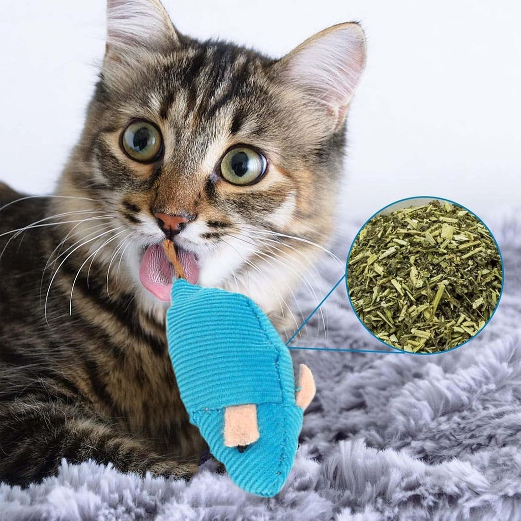 Interaktive Katzenminze Maus Spielzeug - 12 Stück für Katzen - Plüsch Katzenspielzeug mit Katzenminze - Katzenkauspielzeug