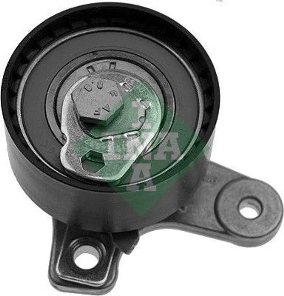 Galet de Distribution INA pour Entretien Chevrolet Cruze et Epica 2.0