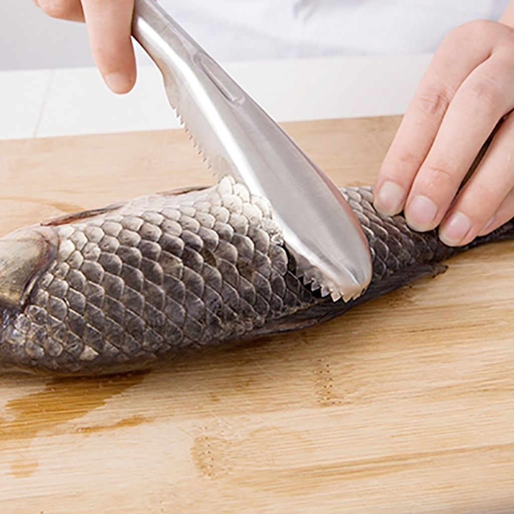 Écailleur de poisson écailleur de poisson écailleur de Image du produit 