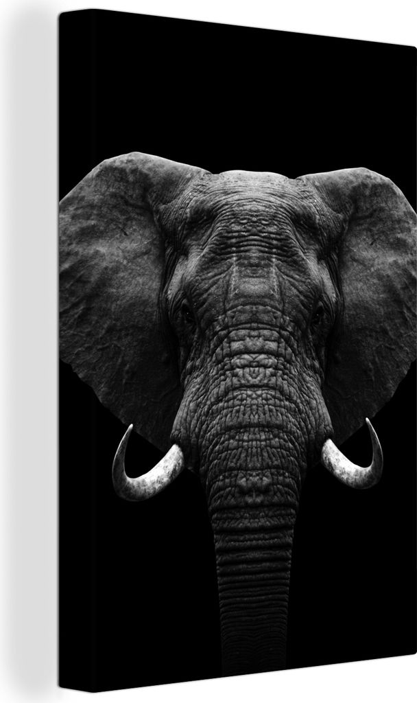 OneMillionCanvasses - Leinwandbilder - 90x140 cm, Tiere - Elefant - Porträt - Schwarz - Weiß, Wandbilder Kunstdruck Wanddekoration - Foto auf L...