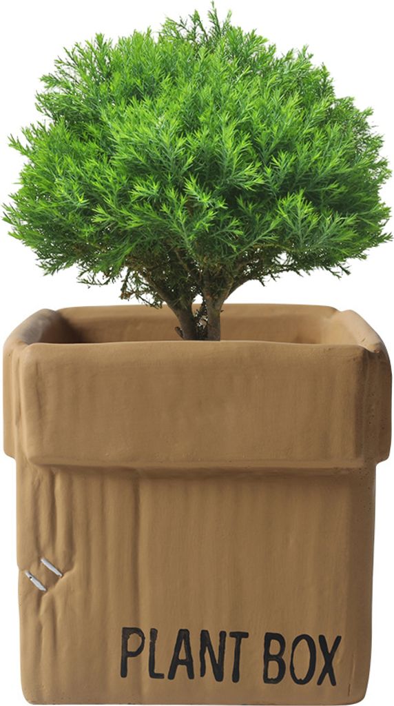 Kreative Pappschachtel Design Zement Pflanzer Urnen, Pflanzer Für Indoor-Pflanzen Blume Sukkulenten Pflanze Töpfe(Khaki,10cm)