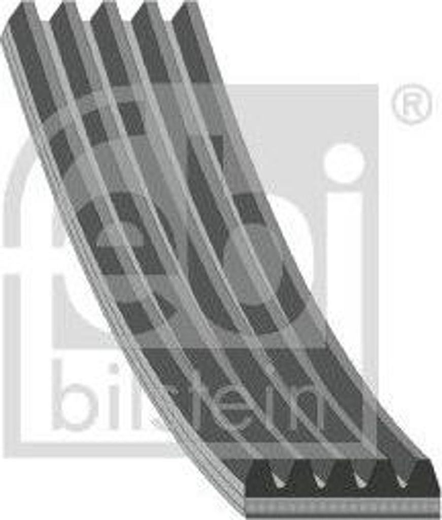 FEBI BILSTEIN 183146 Keilrippenriemen OE 55221257 kompatibel mit 500, Fiorino, Grande Punto, Panda, Punto, Qubo, Ypsilon, Carnival, Defender