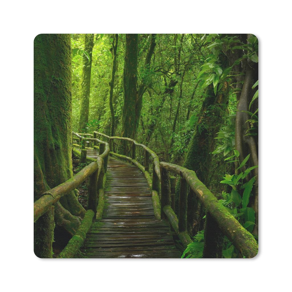 MuchoWow Mauspad Mousepad Dschungel - Brücke - Moos - Natur - Tropisch 20x20 cm - Mousepads - Maus Mat - Pad - Mausunterlage - Desk Mat - Bureau...