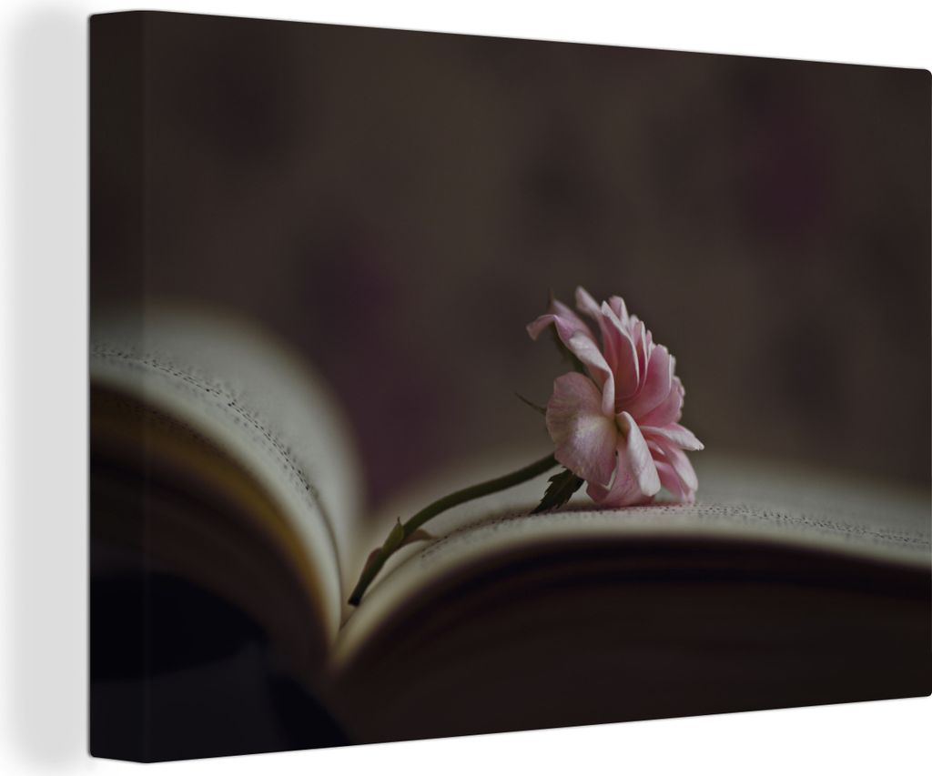 OneMillionCanvasses - Leinwandbilder - 150x100 cm, Stilleben - Rose - Buch, Wandbilder Kunstdruck Wanddekoration