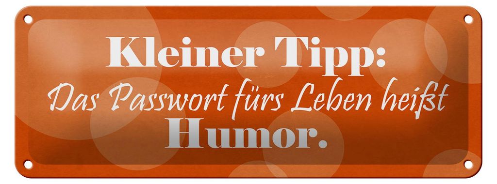 Blechschild Spruch 27x10cm Passwort für's Leben Humor Produktbild 
