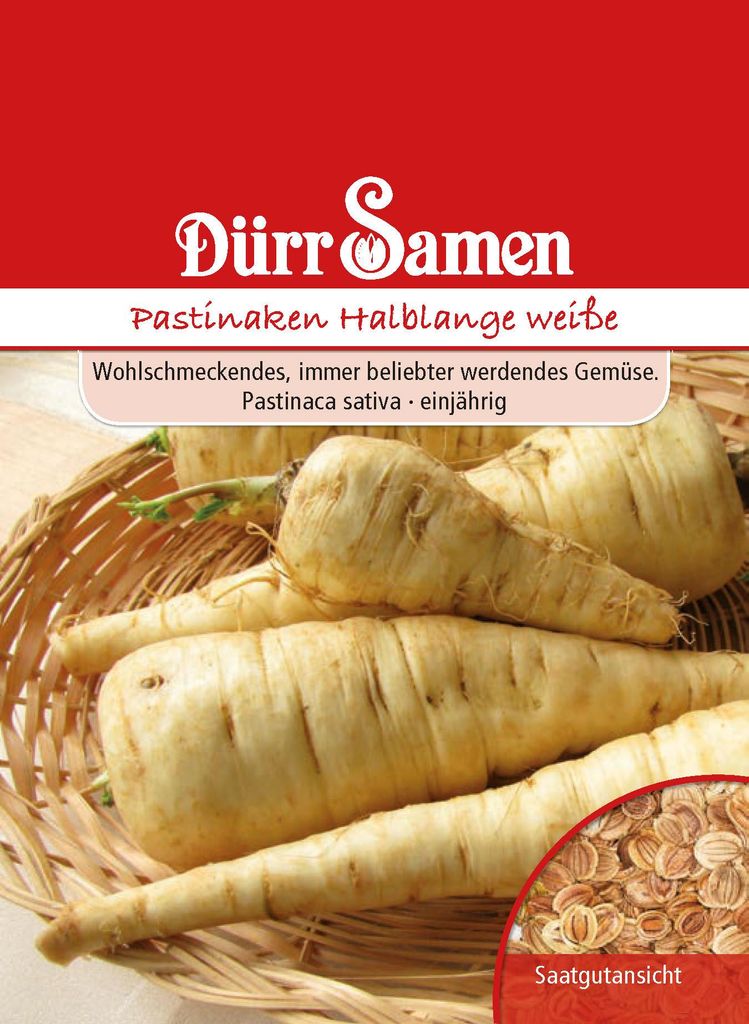 Pastinake Halblange weiße | Pastinakensamen von Dürr Samen Produktbild 