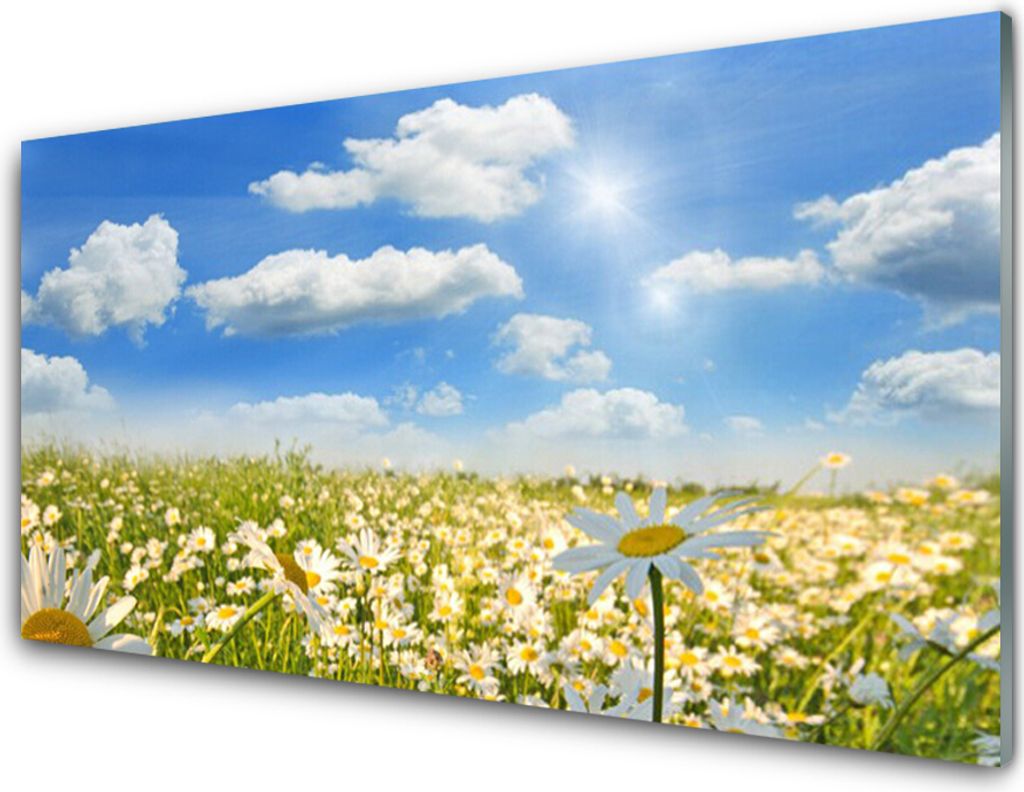 Küchenrückwand aus Glas 100x50cm Spritzschutz Wiese Gänseblümchen Natur