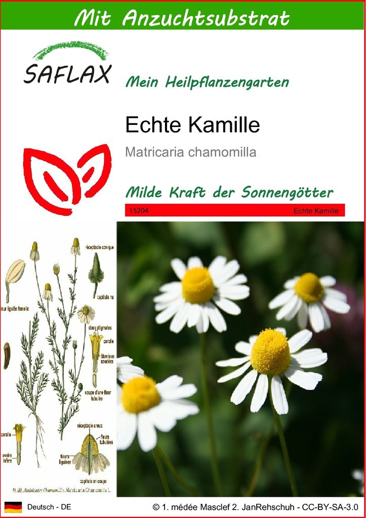 SAFLAX - Heilpflanzen - Echte Kamille - 300 Samen - Mit Produktbild 