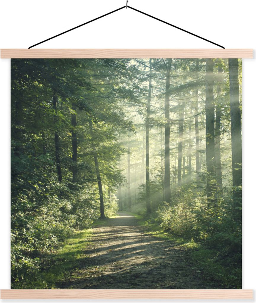 MuchoWow Textilposter Wald - Weg - Sonne - Bäume - Grün - Natur 40x40 cm mit holzfarbenen Rahmen - Posterleiste