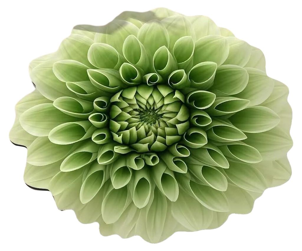 3D-Blumen-Plüsch-Fußmatte, waschbar, rutschfest, saugfähig, schnelltrocknend, für Wohnzimmer, Schlafzimmer, Badezimmer, Küche – Dekorationst...