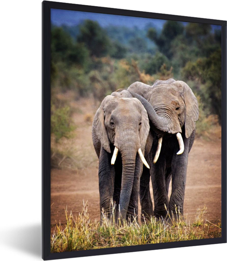 MuchoWow MuchoWow Gerahmtes Poster Elefant - Afrika - Tiere 60x80 cm - Poster mit zchwarzem Bilderrahmen - Premium - Wanddeko Wohnzimmer