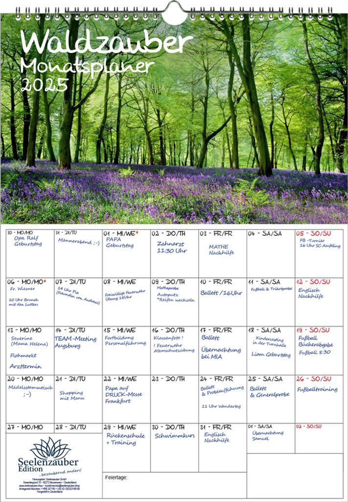 Waldzauber Planer DIN A3 Kalender für 2025 Baum Bäume Wald Natur - Seelenzauber