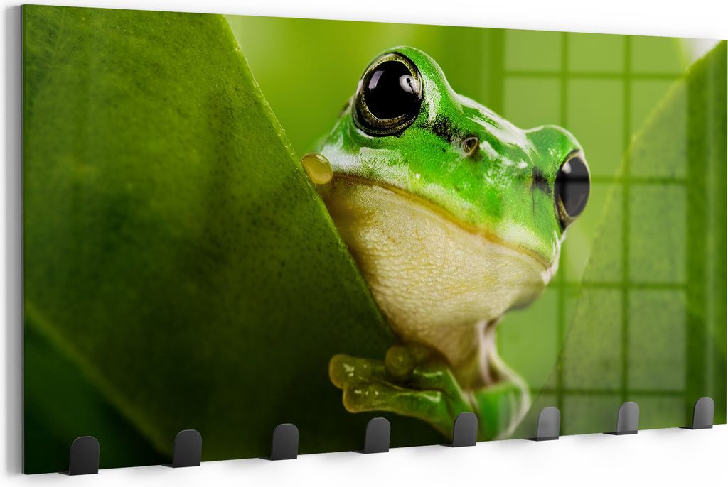 DEQORI Kleiderhaken Glas 60x30 cm 'Grüner Lauschposten' Wand Garderobe beschreibbar Paneel