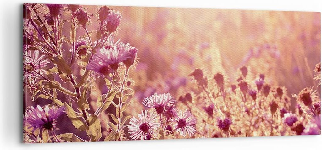 Bild auf Leinwand - Leinwandbild - Einteilig - Wiese Blumen Sonne - 100x40cm - Wand Bild - Wanddeko - Wandbilder - Leinwanddruck - Bilder - Wanddek...