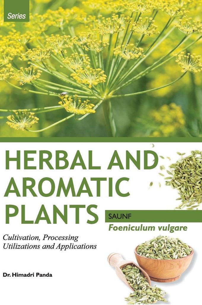 HERBAL AND AROMATIC PLANTS - Foeniculum vulgare (SAUNF)