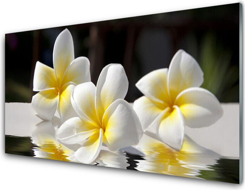 Acrylglasbilder 100x50 Wandbild Druck Blumen Pflanzen