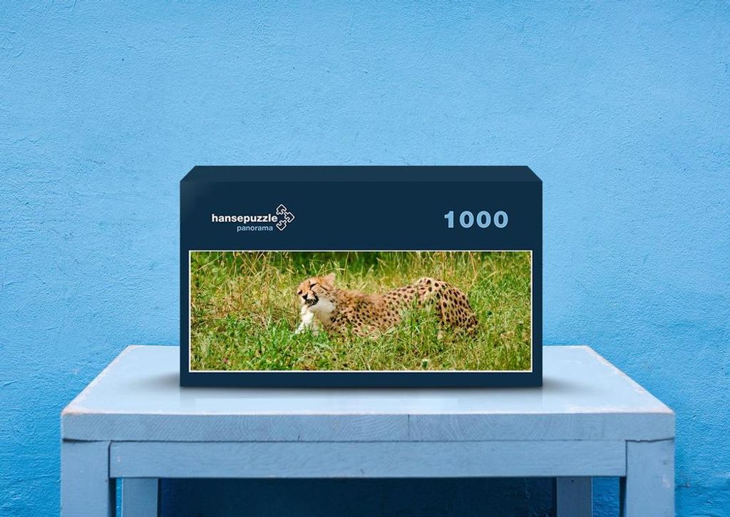 hansepuzzle 80582 - Gepard Puzzle, 1050 Teile, Natur, 60,0 x 46,0cm mit hochwertiger Aufbewahrung, Kartonbox und wiederverschließbarem Beutel