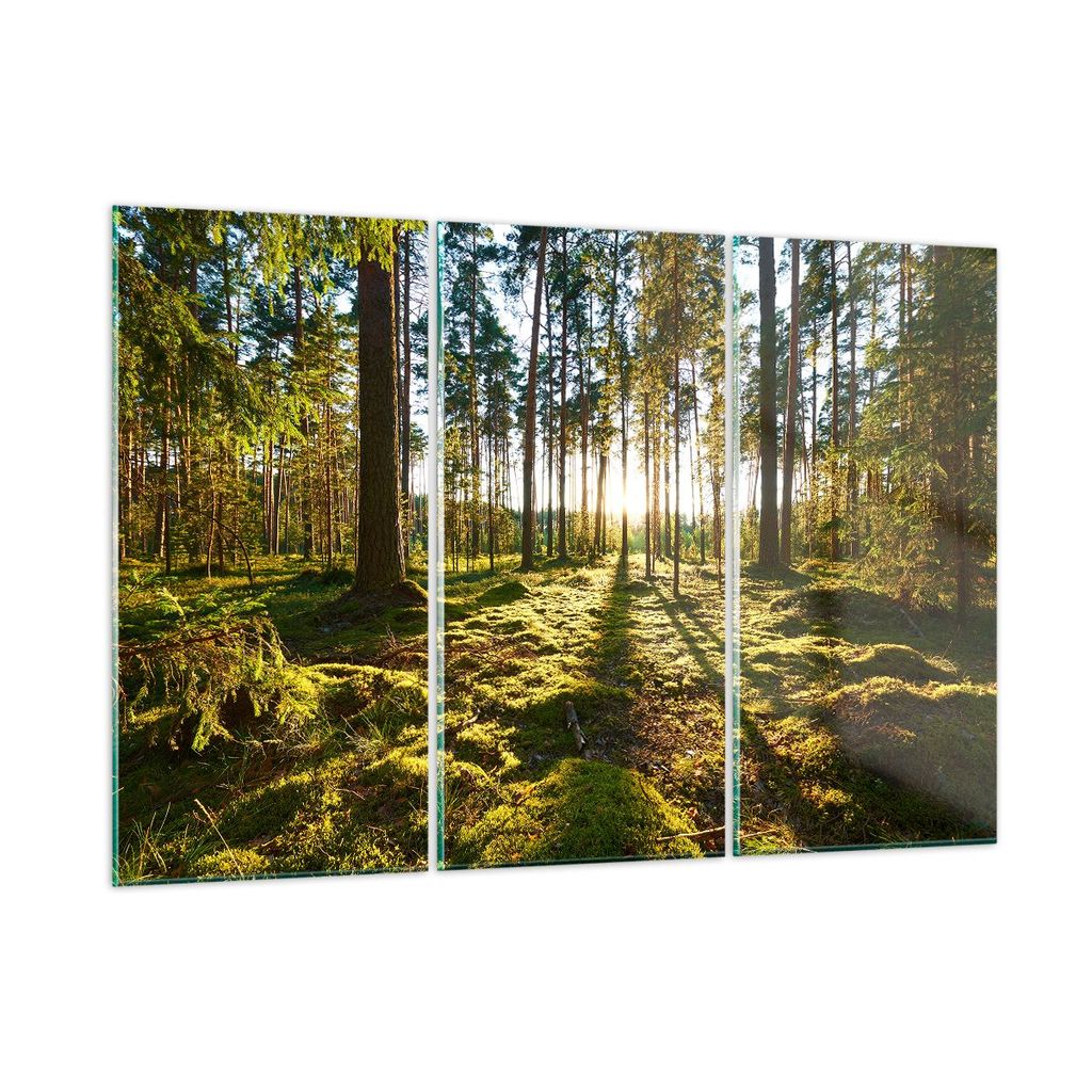 Bilder auf glas - Wald Baum Natur - 165x110cm - Glasbilder - Wandbilder - Kunstdruck - zum Aufhängen bereit - Wanddekoration aus Glas - Glas Bilde...