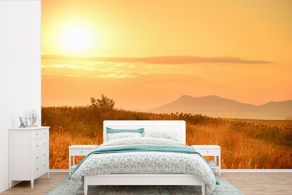 MuchoWow Fototapete für Wohnzimmer oder Schlafzimmer Wandtapete Vinyl Motivtapete Sonnenaufgang in einem Naturschutzgebiet - 450x300 cm - Gemust...