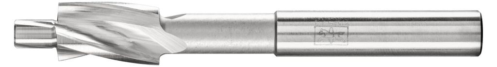 PFERD 25203117 Drehfräser 1 St