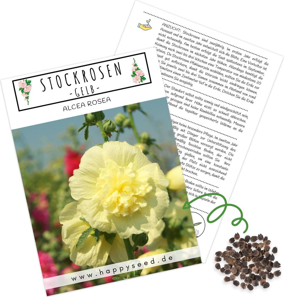 Stockrosen Samen zweijährig (Alcea Rosea) - Wunderschöne Rosen mit langer Blütezeit für besondere Akzente in Ihrem Blumenbeet (Gelb)