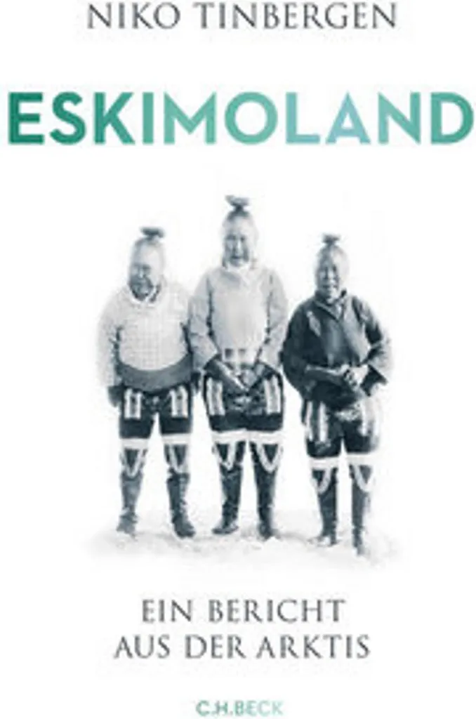 Eskimoland Pull Géant Anti-Froid : Dites Adieu aux Courants d'Air cet Hiver